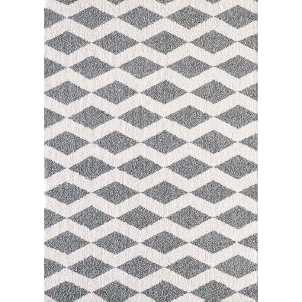 Dynamic Rugs 5904-119 Silky Shag 2 Ft. X 3.3 Ft. Rectangle Rug in White/Silver